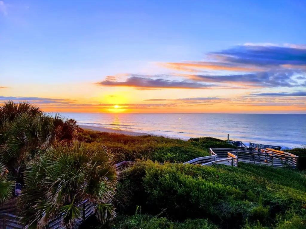 Photo of the sun coming up over the ocean with greenery and a wood walkway underneath.