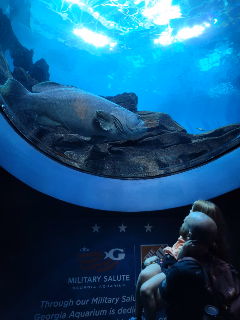 Man and girl looking at a big fish in an aquarium tank. 