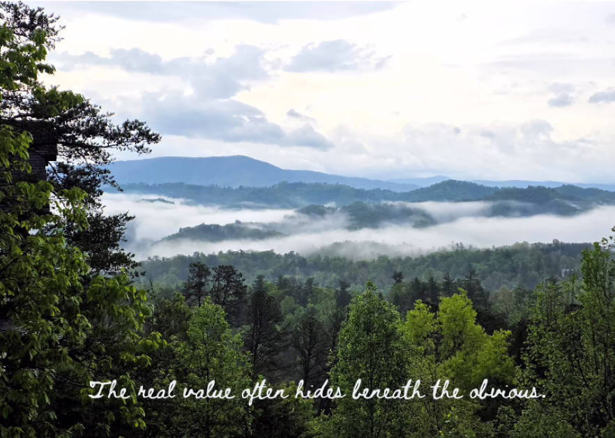 Photo of the Great Smoky Mountains with the words: The real value often hides beneath the obvious.