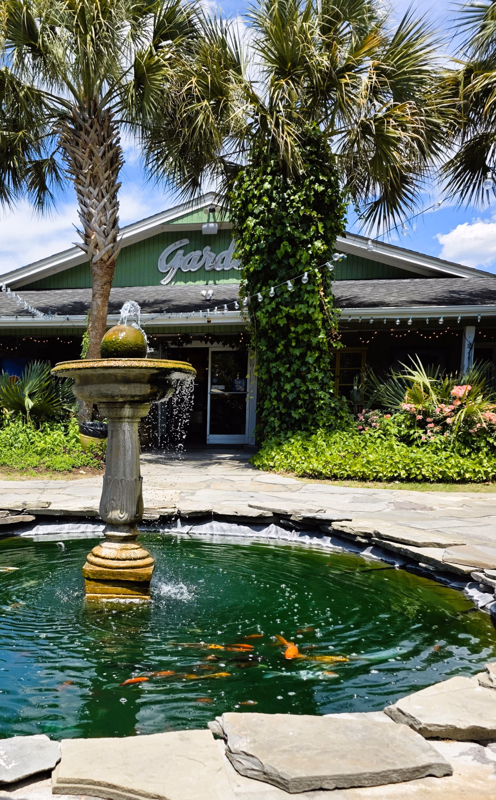 Pond with koi fish at Carolina Home and Garden, Crystal Coast NC