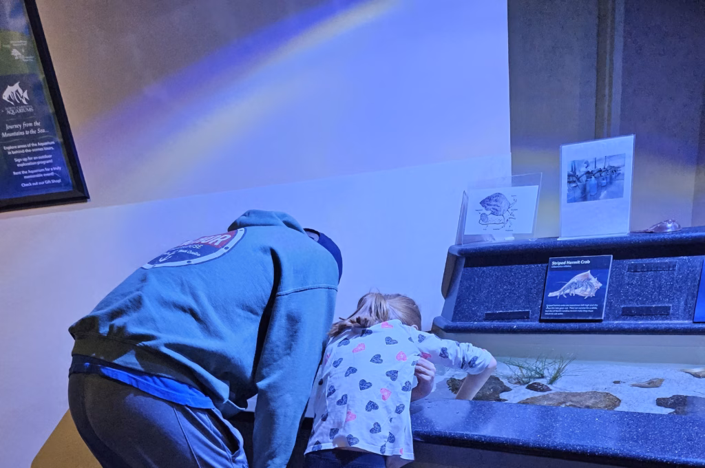 A girl and her dad reaching in the touch tank at NC Aquarium at Pine Knoll Shores in NC.