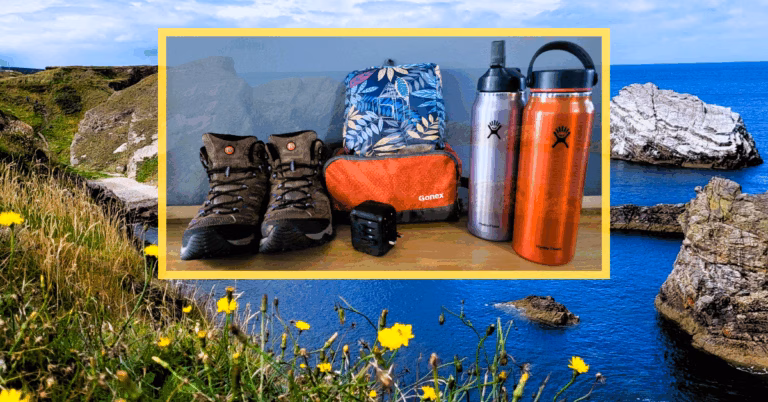 Scotland cliffs and sea with yellow flowers and inlay, travel products perfect for a Scotland road trip