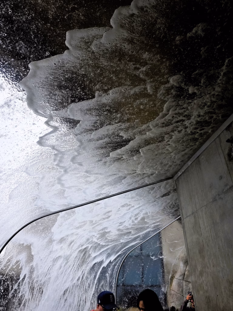 Wave Crash exhibit, walk through tunnel at MB Aquarium in Monterey