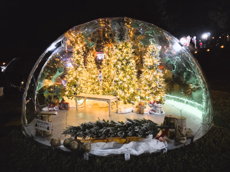 Holiday-ornament-photo-area-for-families-at-Pullen-Park