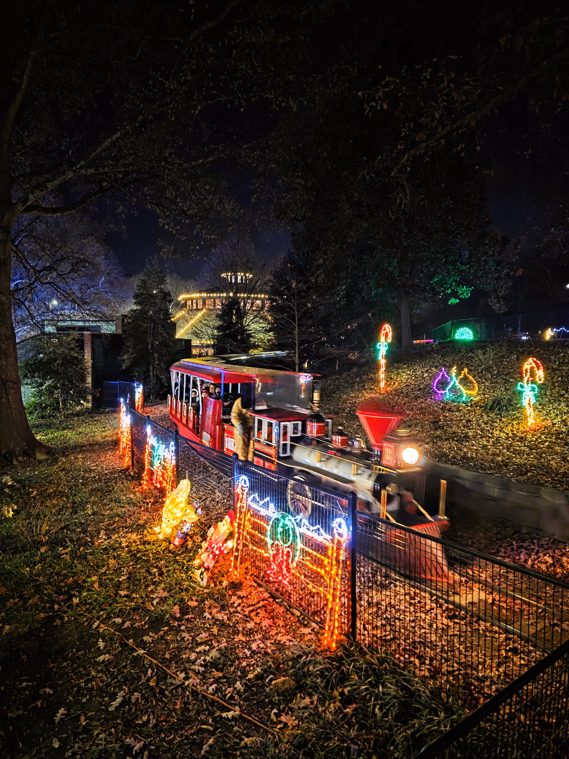 Pullen-Park-Holiday-Express-train-passing-through-park