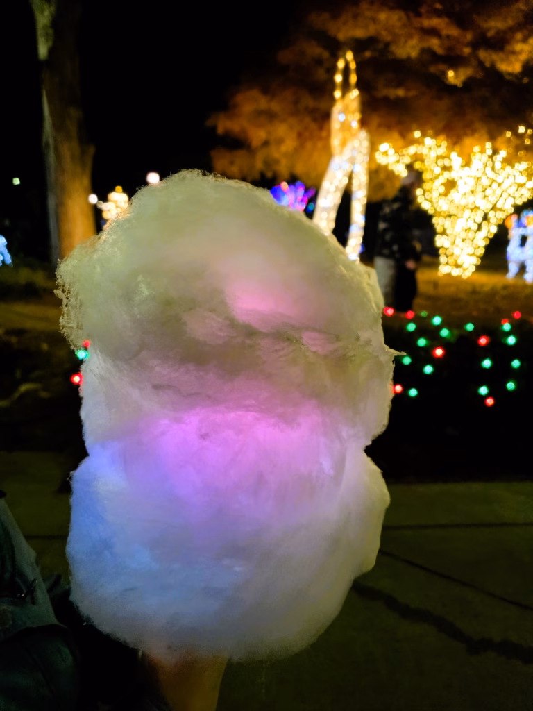 kid-favorite-flashing-light-up-cotton-candy-pullen-park-holiday-express