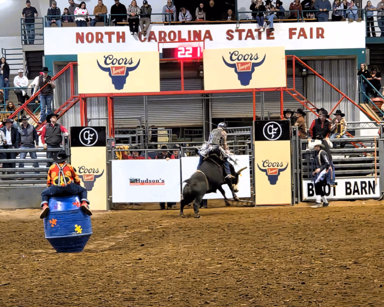 Raleigh Stampede Rodeo rider on bull with rodeo clown watching