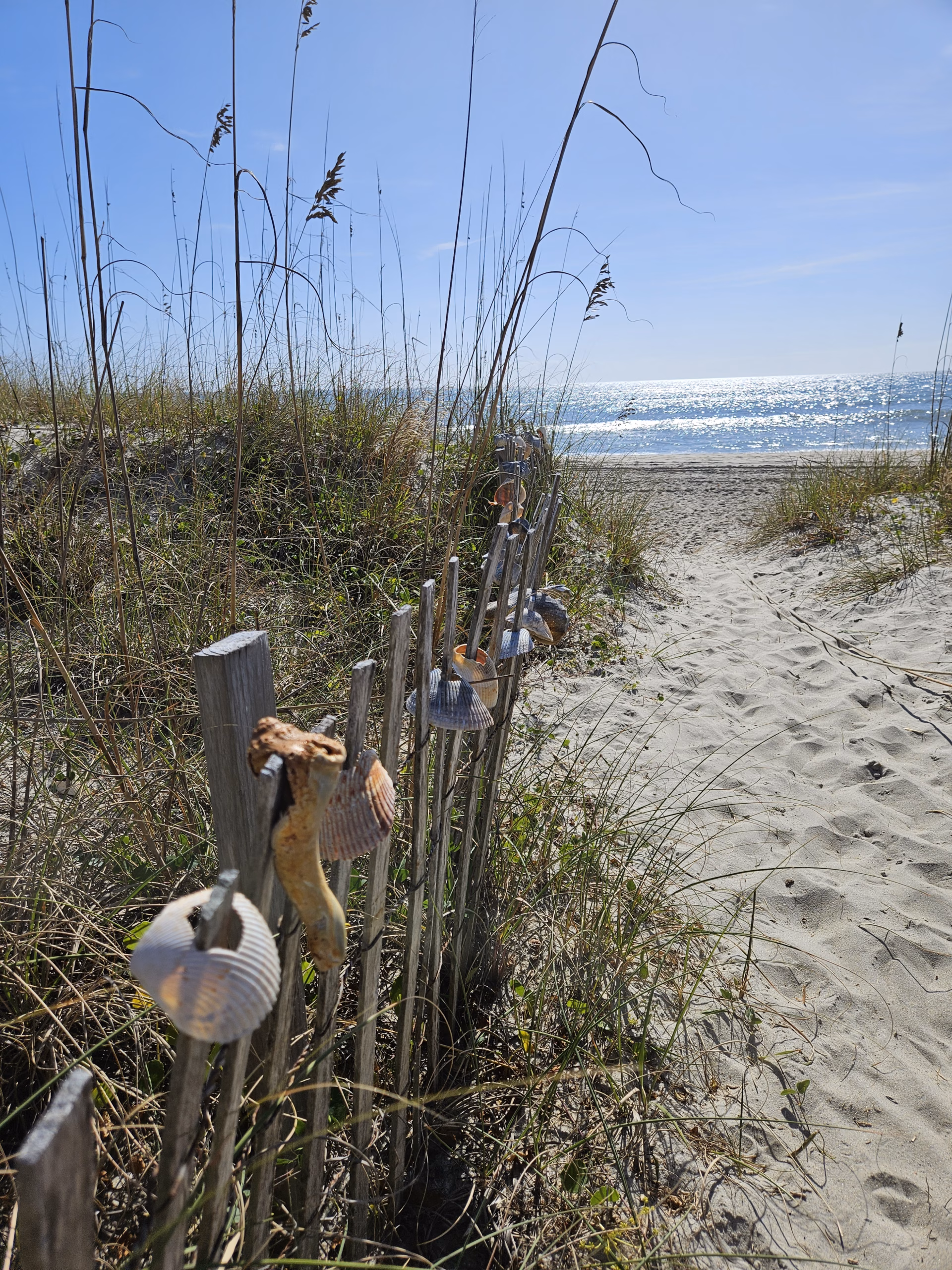 Entrance to indian beach with shells hanging on a wood fence opening to the sand and ocean
