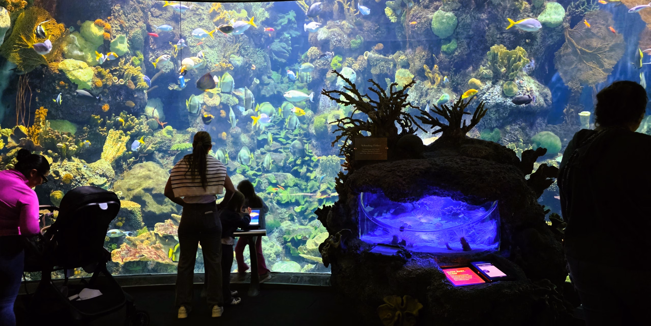 SHEDD-woman-and-child-looking-at-bright-colored-large-tank