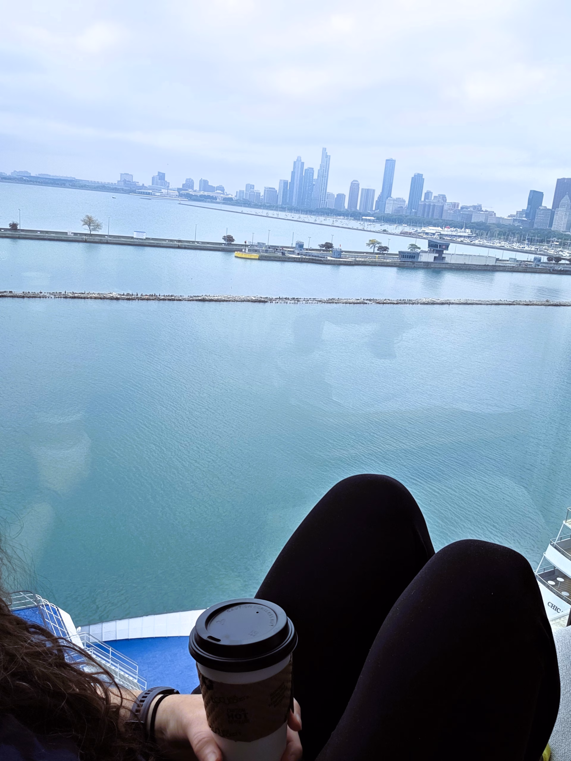 Sable-navy-pier-view-lake-michigan